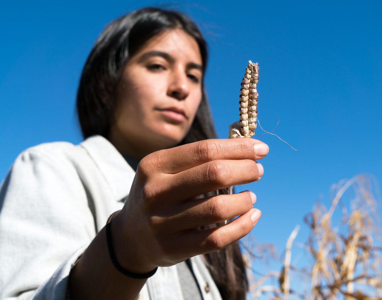 Maya Harjo with Teosinte, ancestral corn