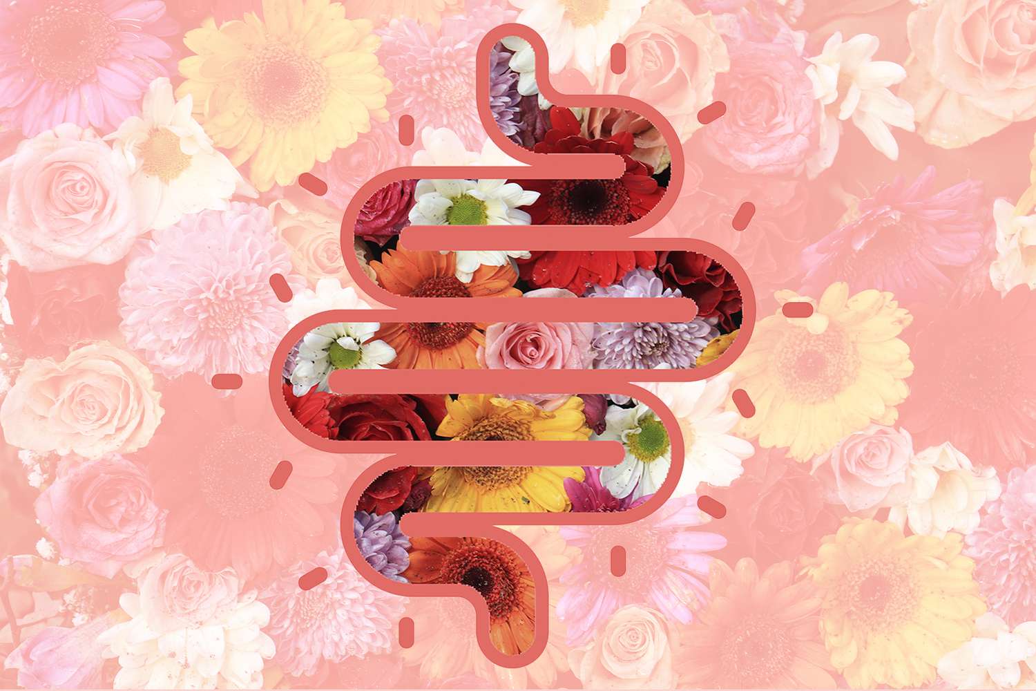 a collage of blossoming flowers inside an illustration of a gut