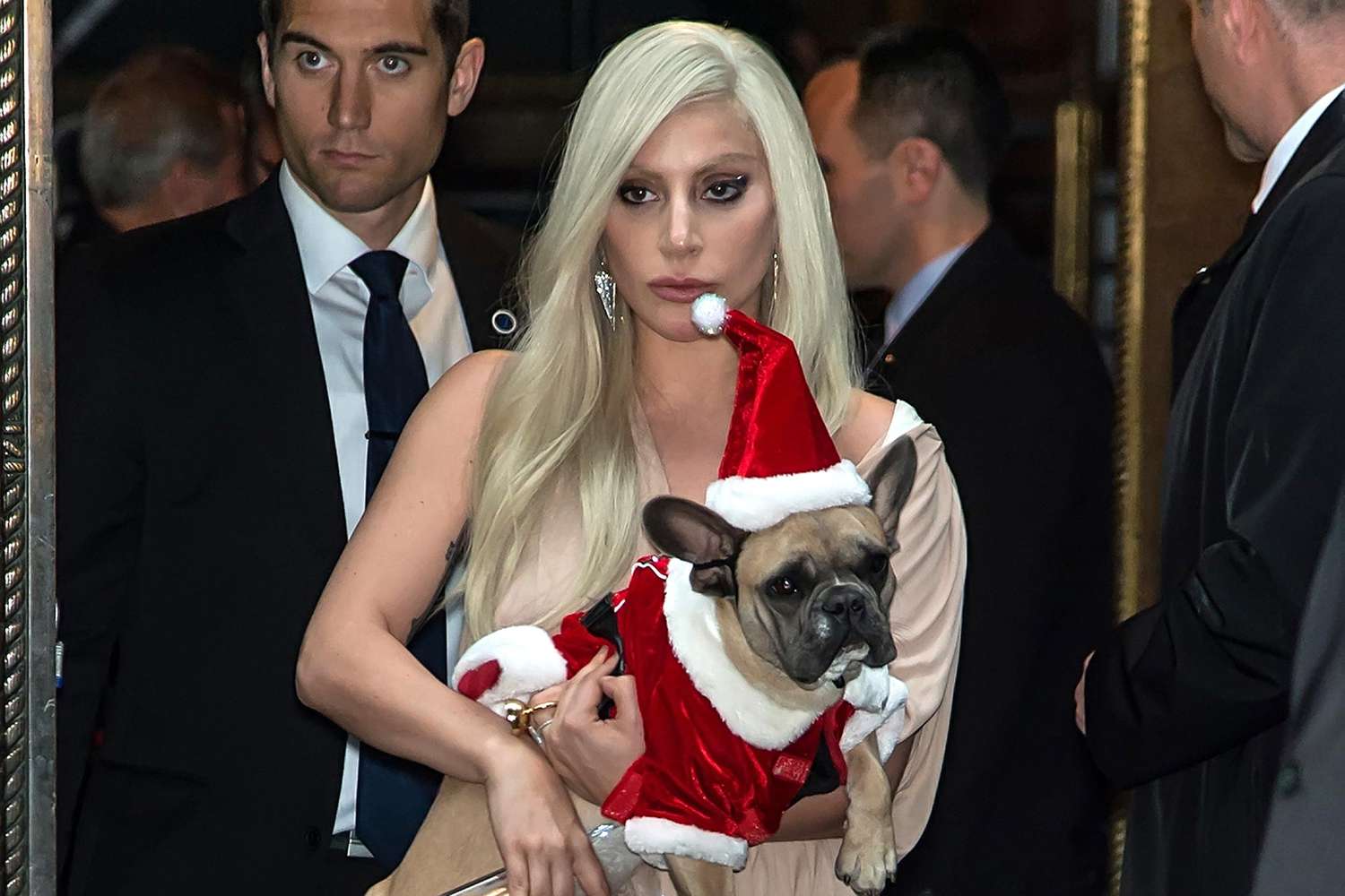 Lady Gaga with her french bulldogs