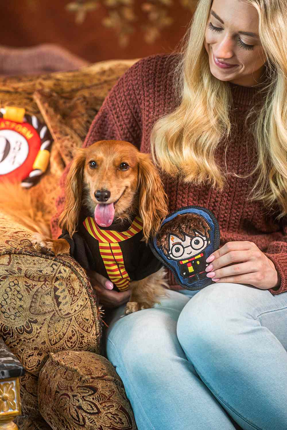 Harry Potter dog toys