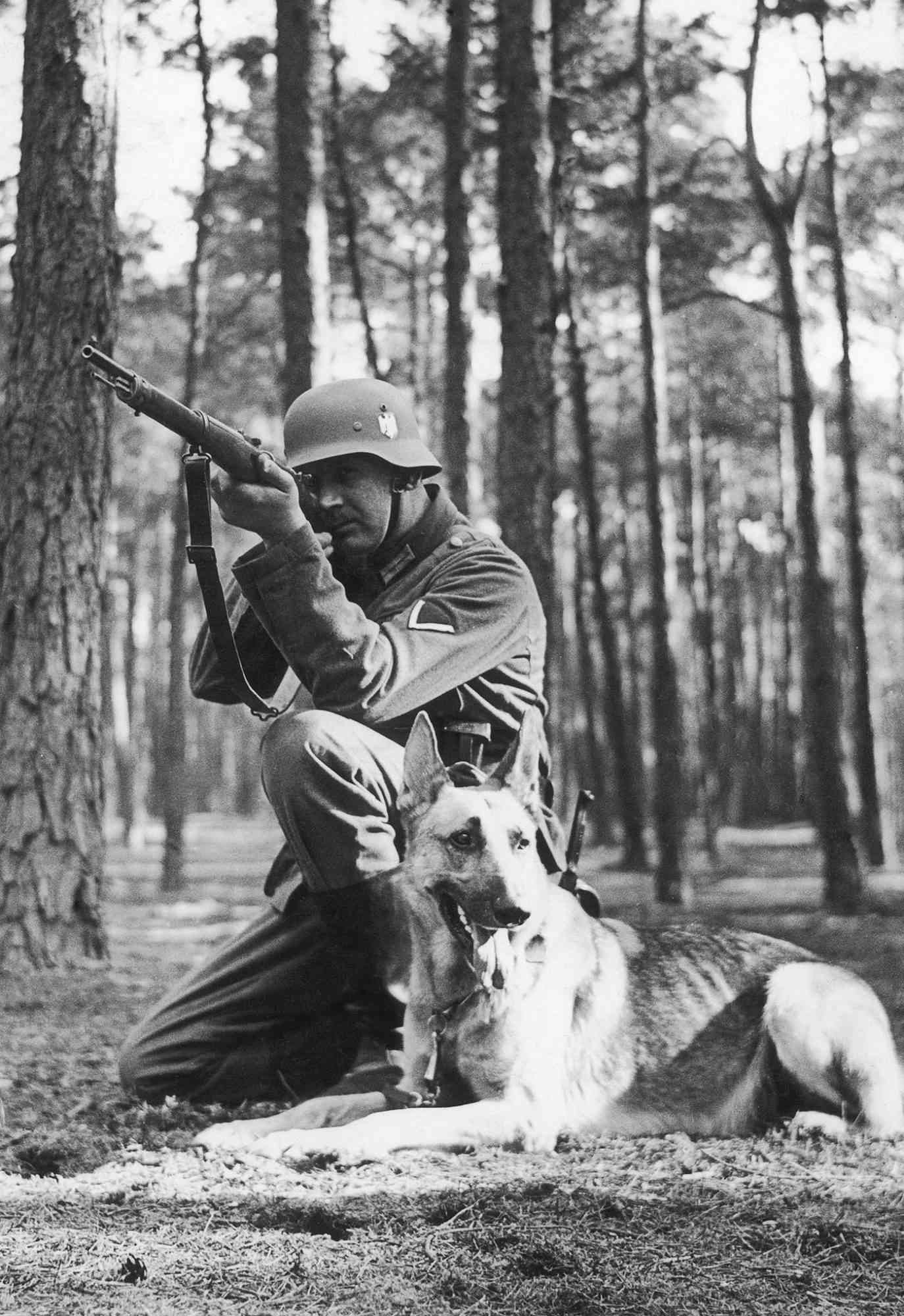 German shepherd with German soldier