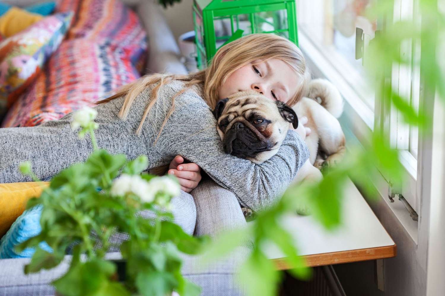 pug snuggling with girl