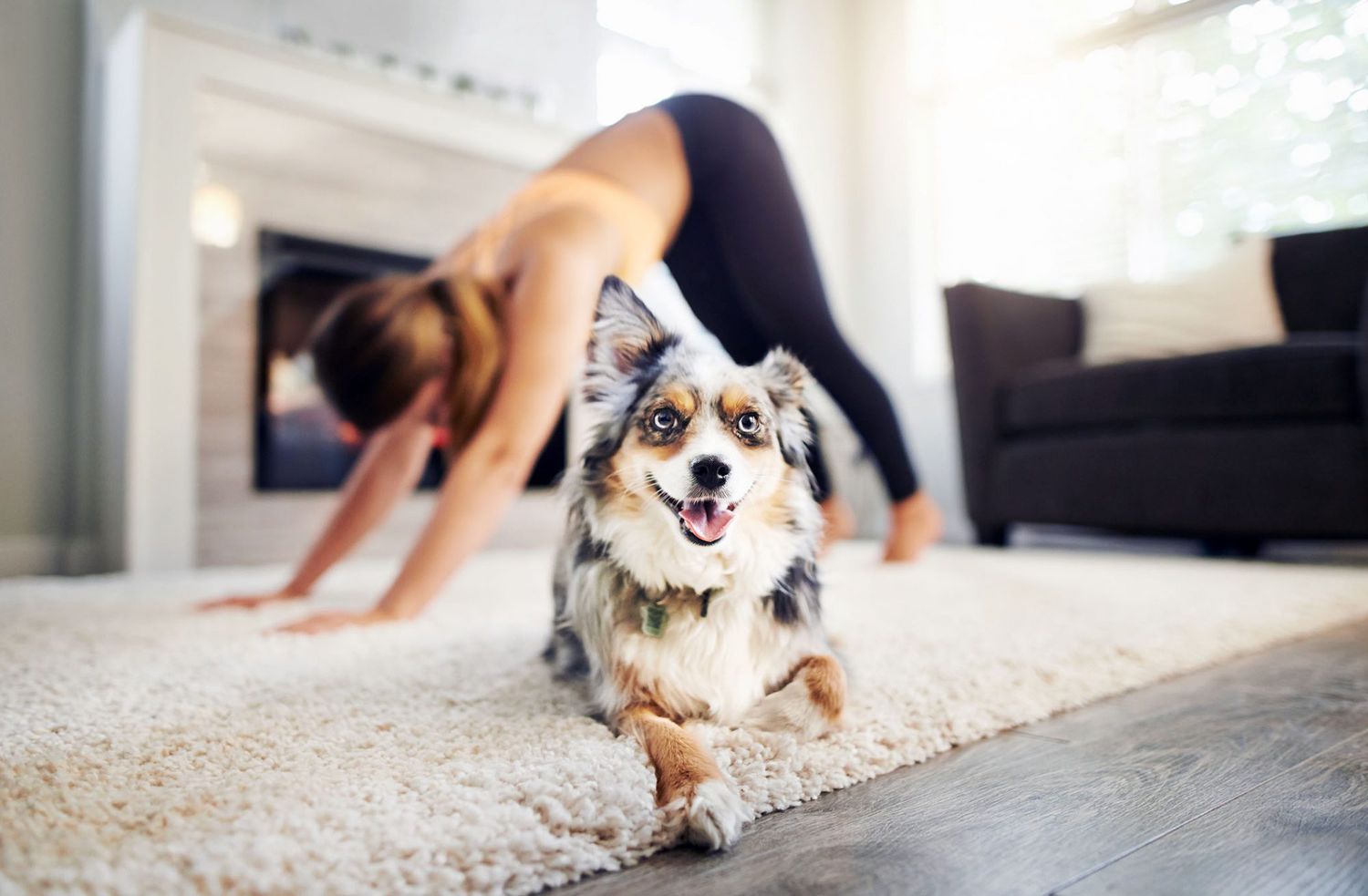 dog in front of woman doing yoga