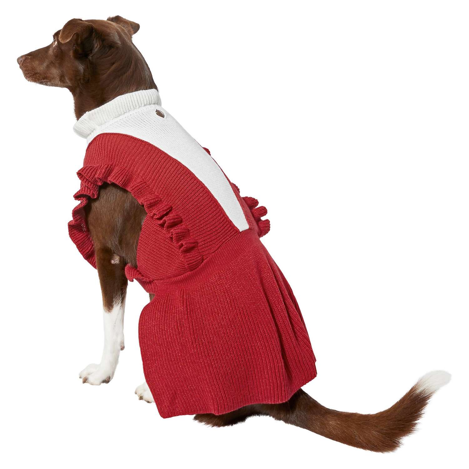 Frisco V Ruffle Dog & Cat Sweater Dress