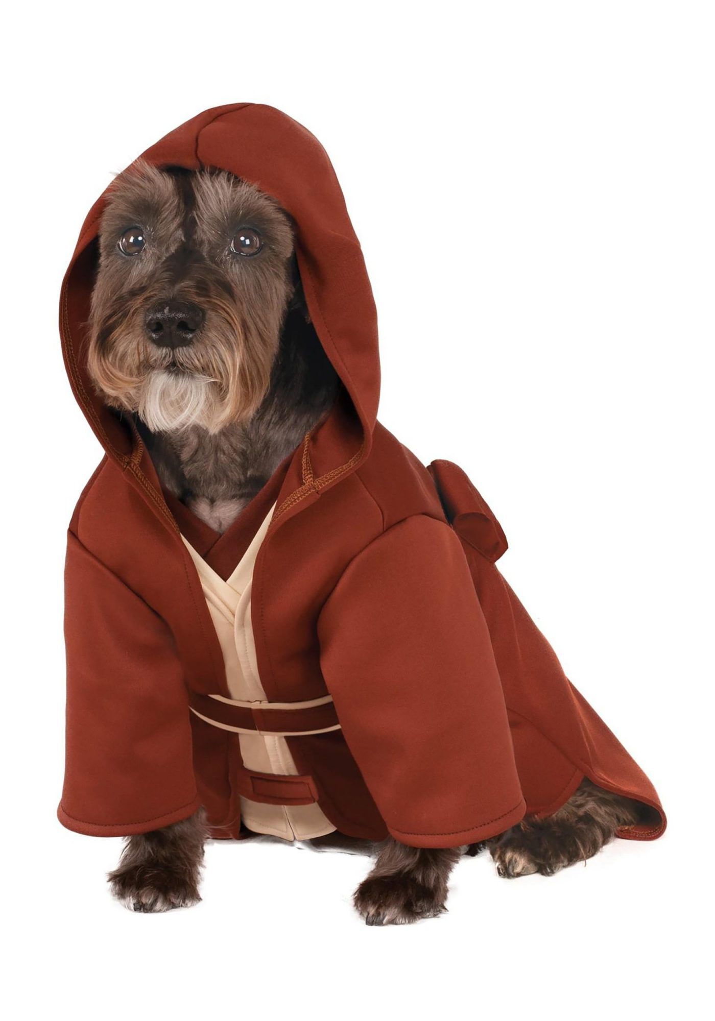 Jedi Star Wars dog costume for Halloween