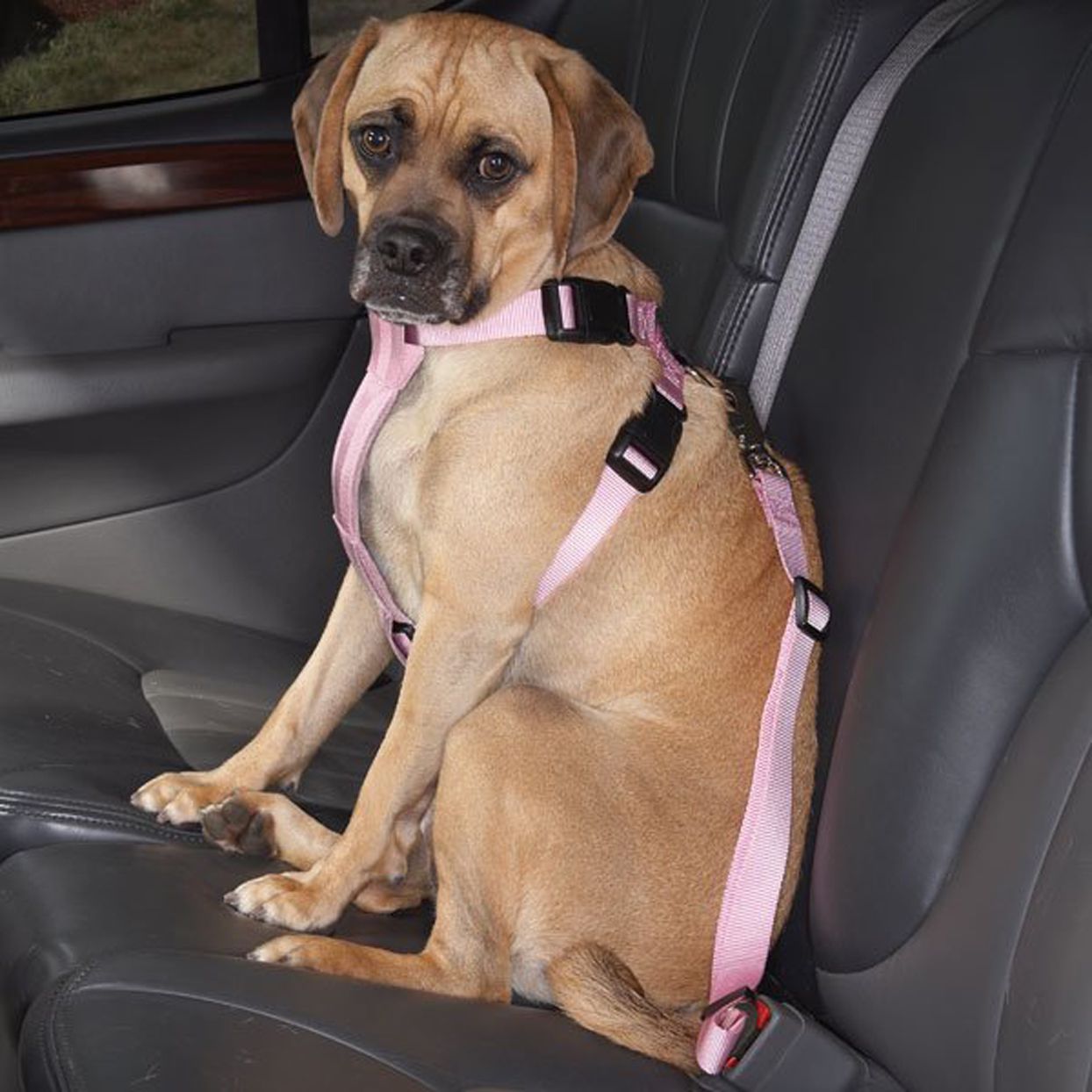 hdp-car-harness-dog-safety-seat-belt-gear