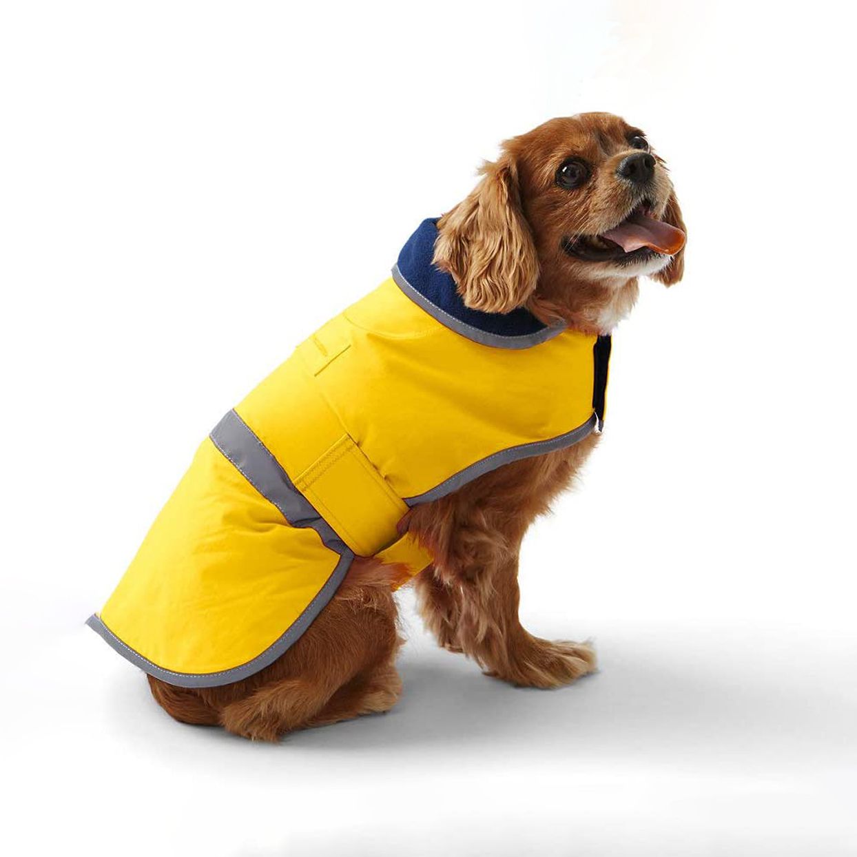 Dog Clothes Coat Water Repellent Winter Jacket Vest Vinted Cozy Warm 