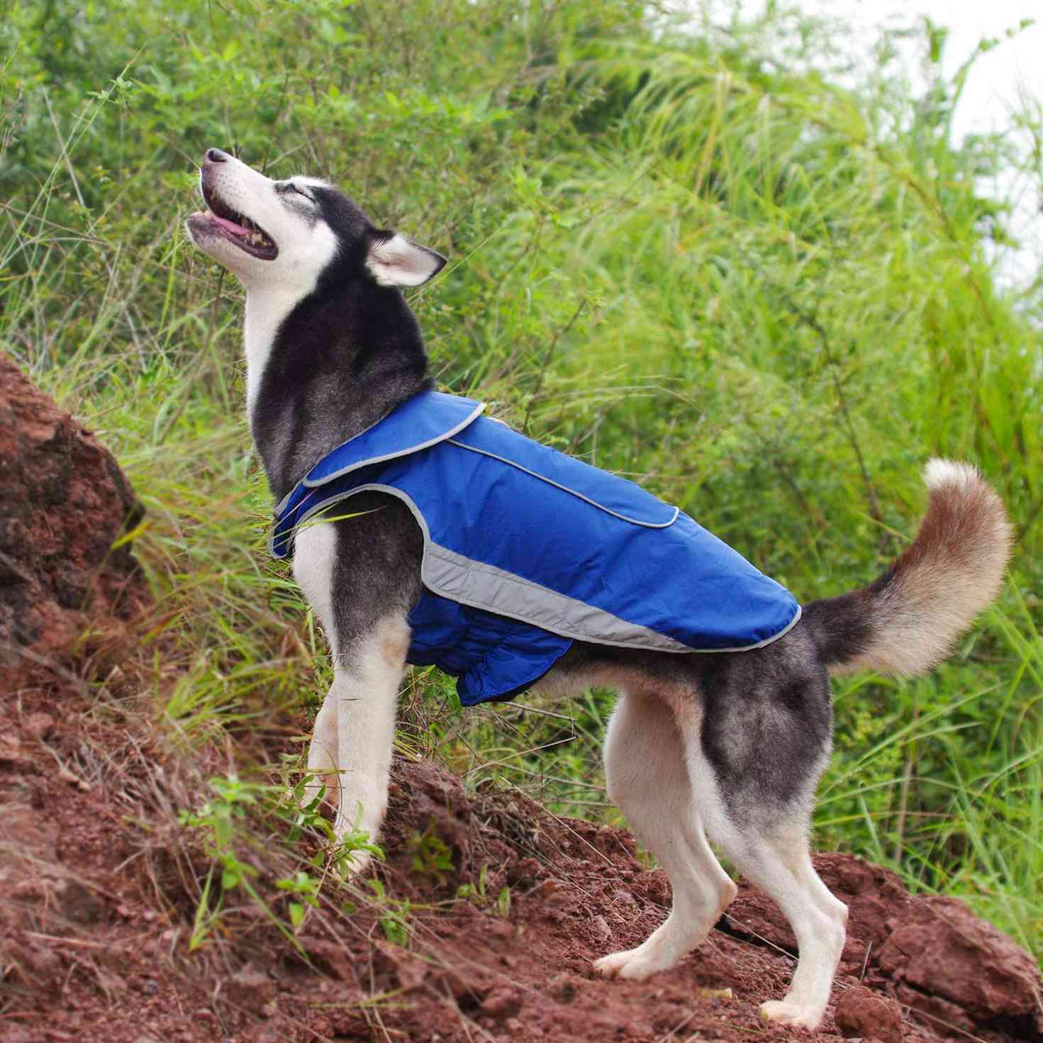 Reflective Safey Dog Vest ThinkPet Warm Reversible Dog Coat Thick Padded Comfortable Winter Dog Jacket 