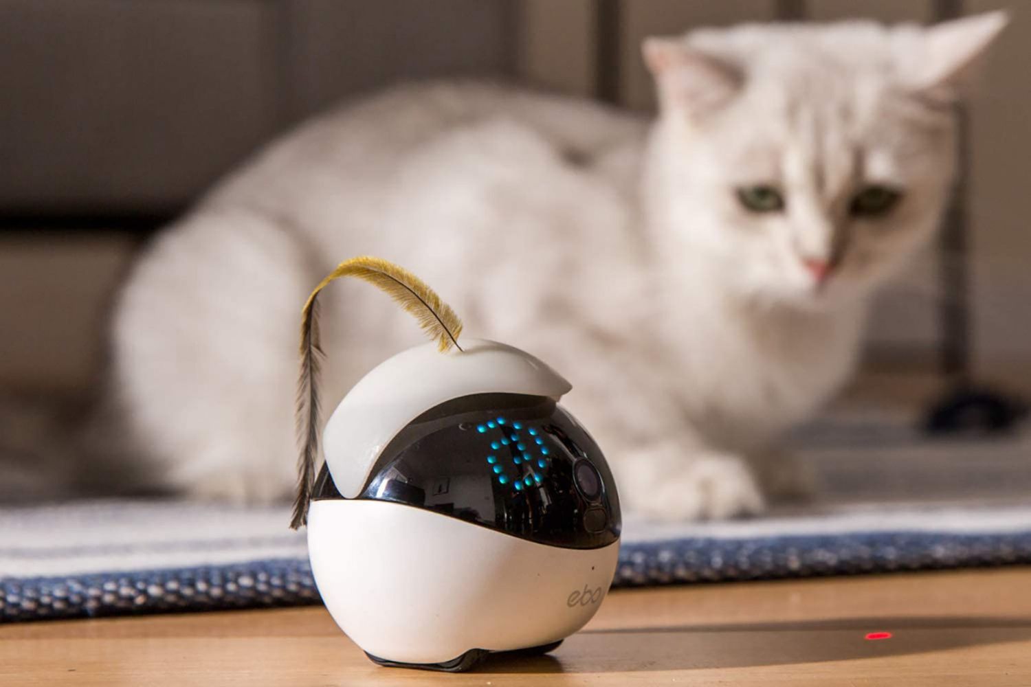 interactive robot cat toy