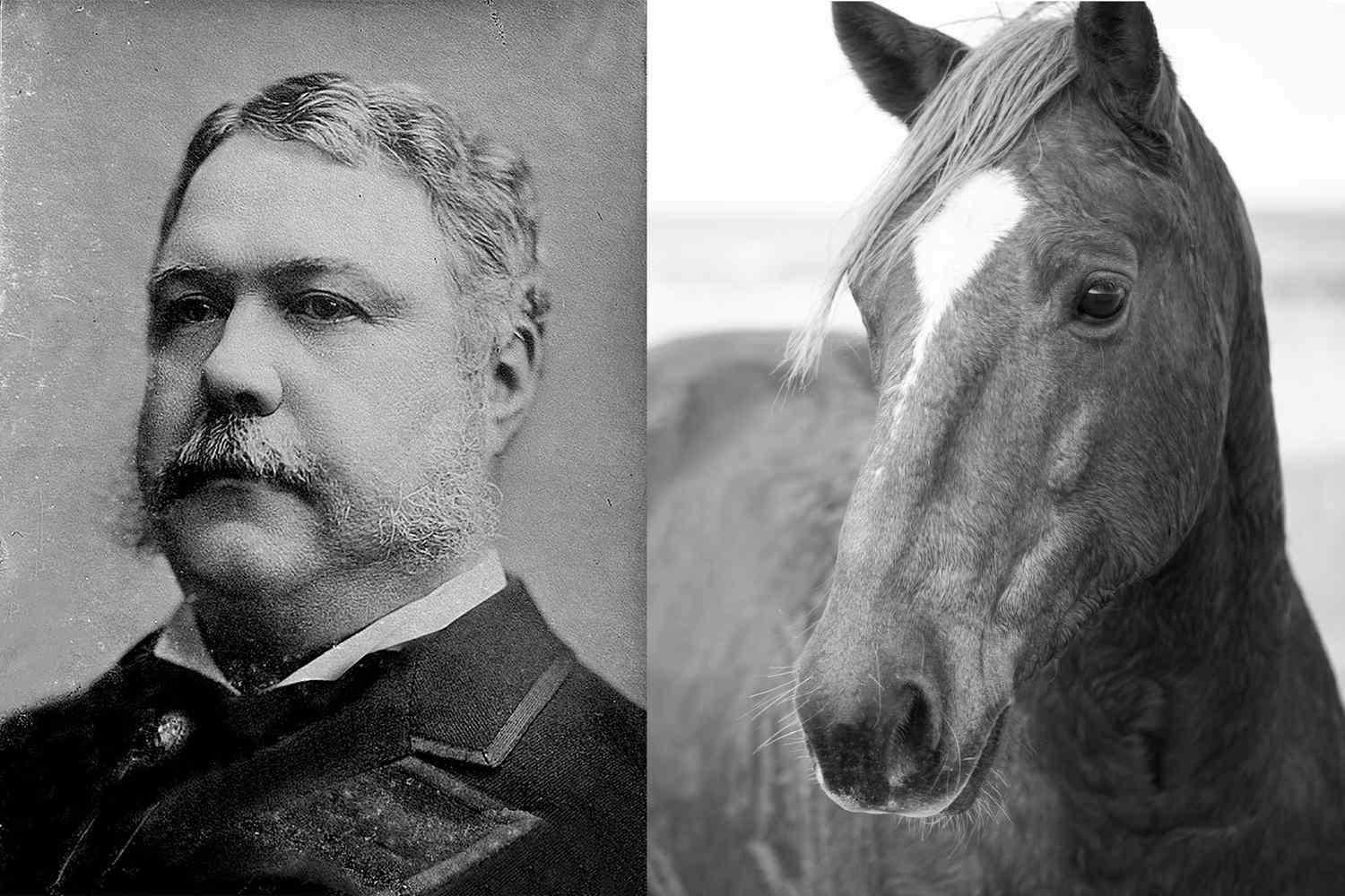 Composite of Chester A. Arthur and horse
