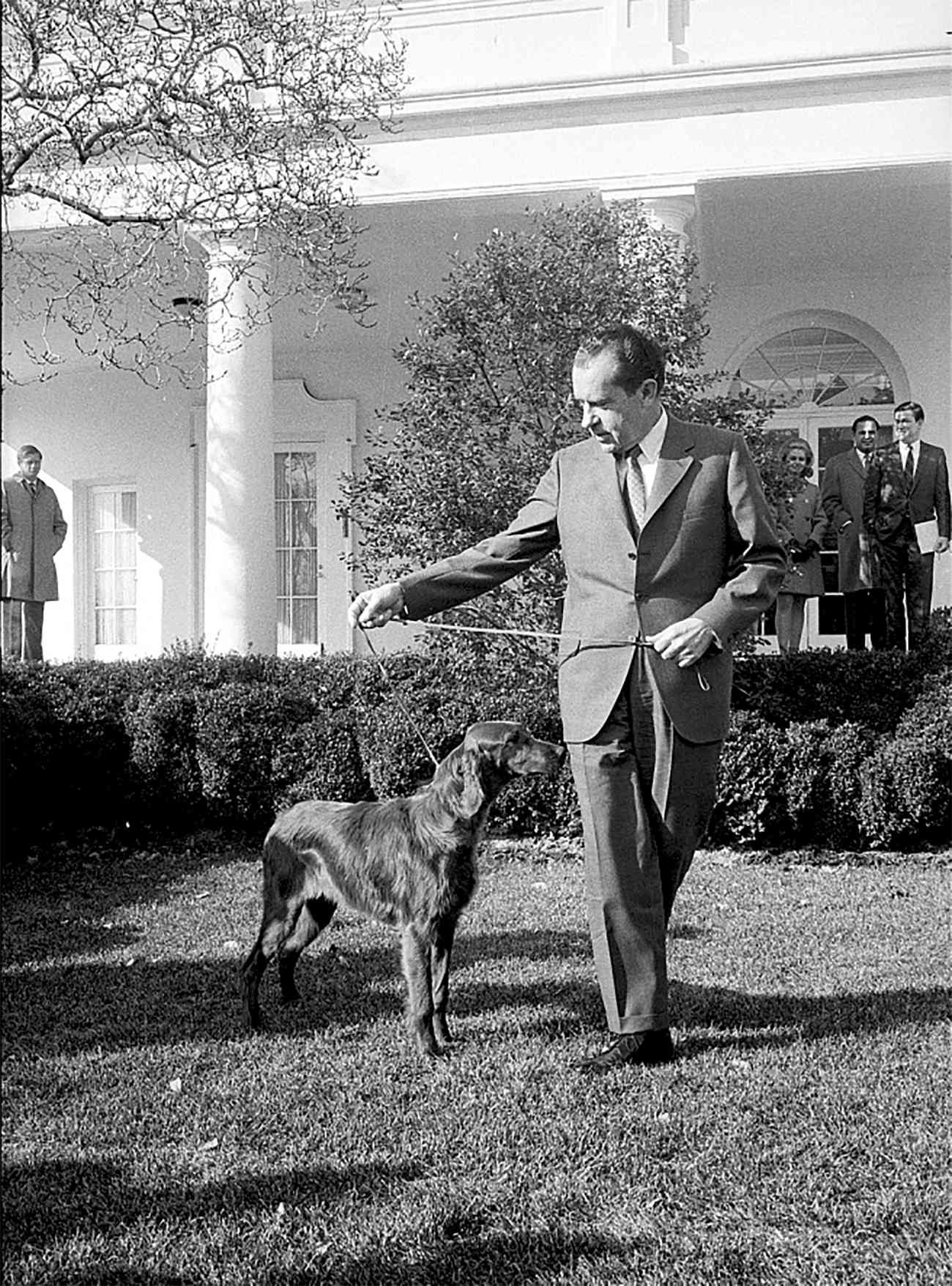 Photograph of Richard Nixon walking dog on lawn of White House