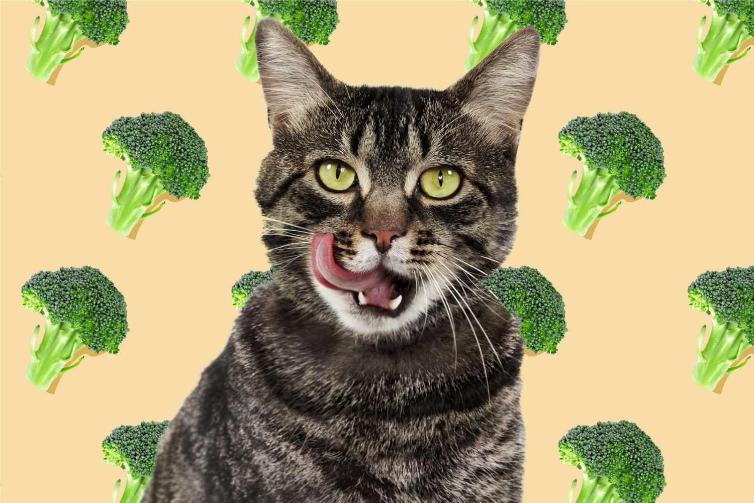 Cat licks lips with illustrated broccoli background