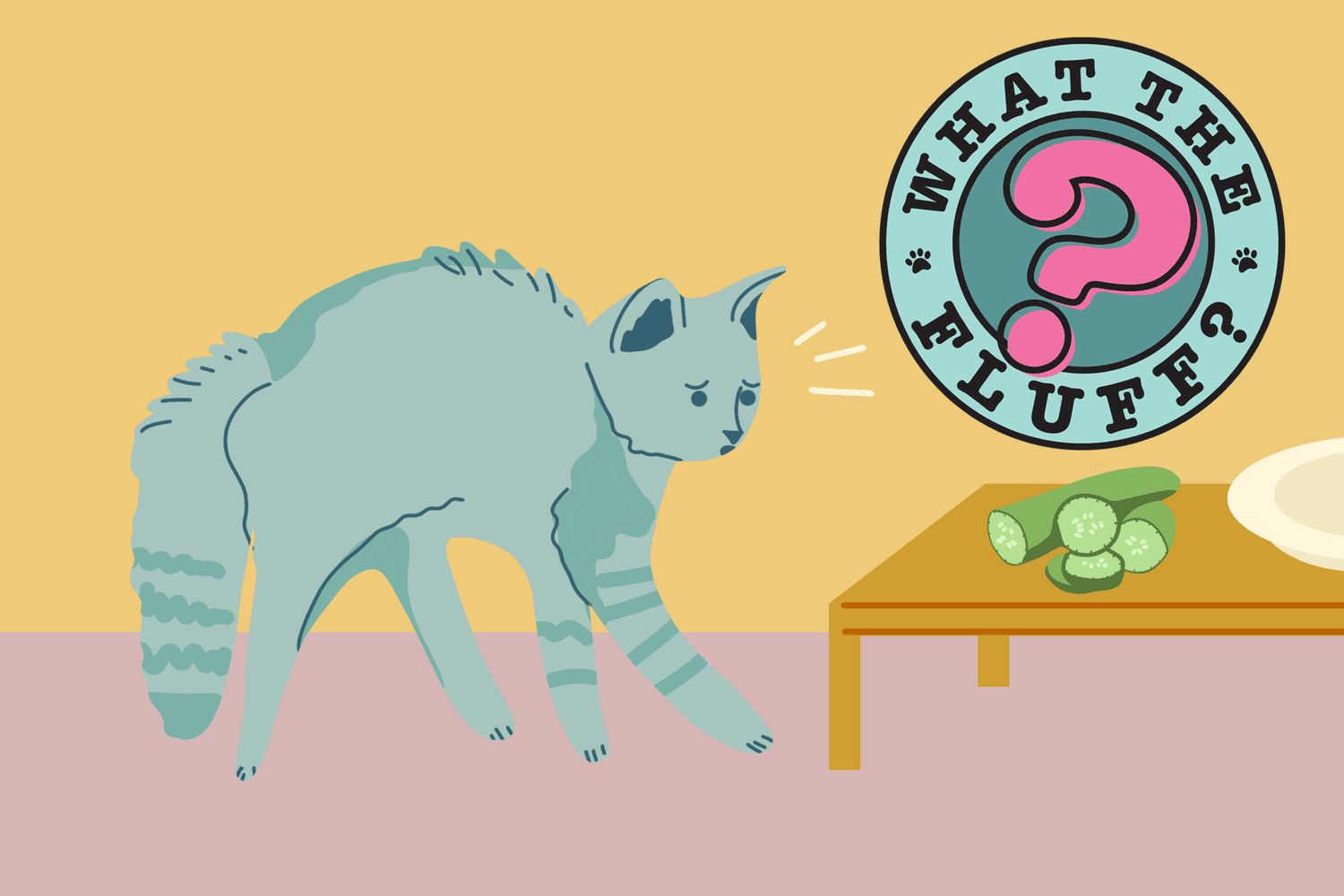 illustration of cat and cucumber