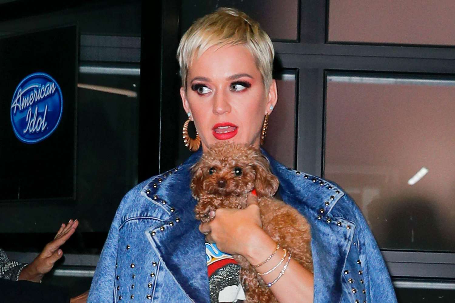 katy perry carrying her dog