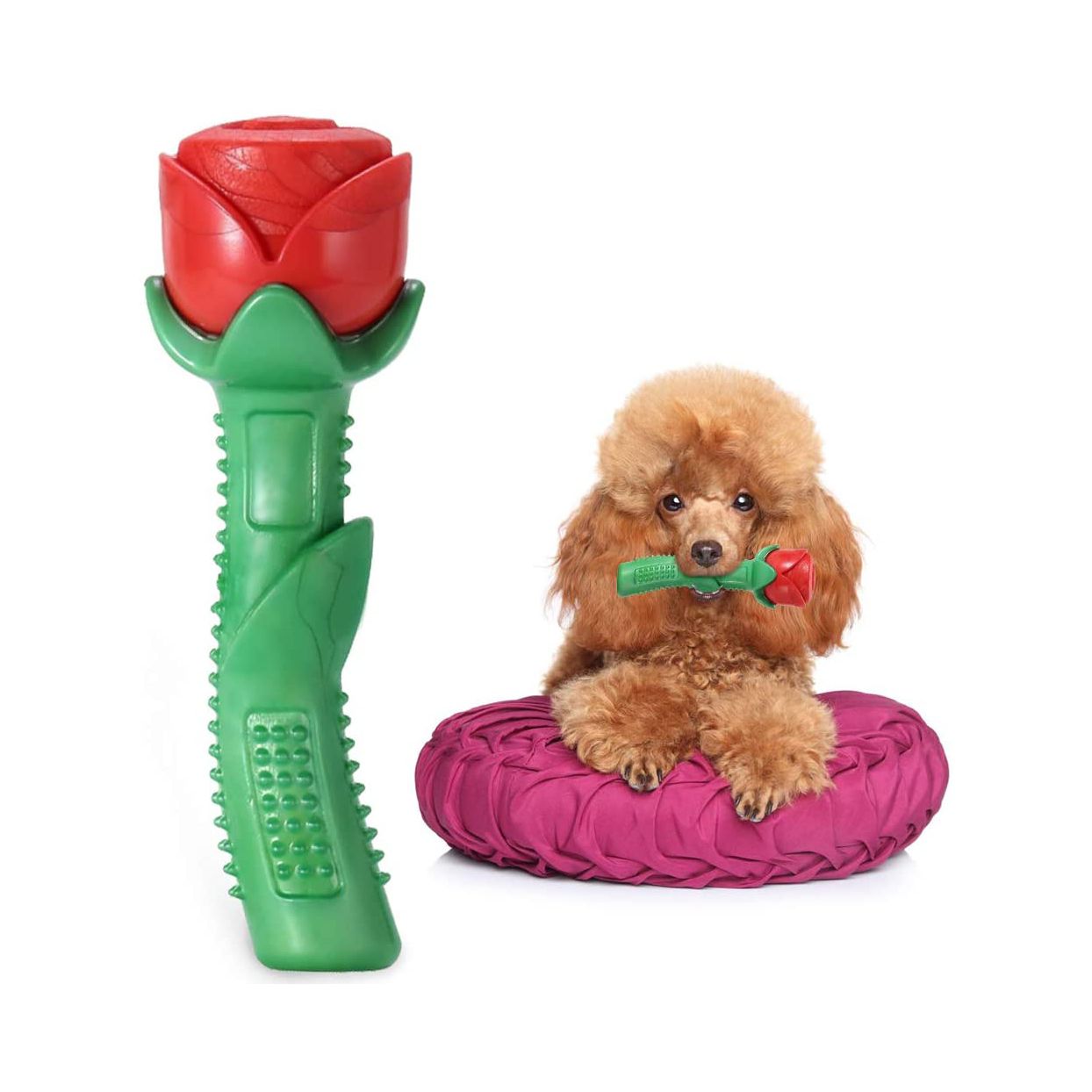 rose dog chew toy