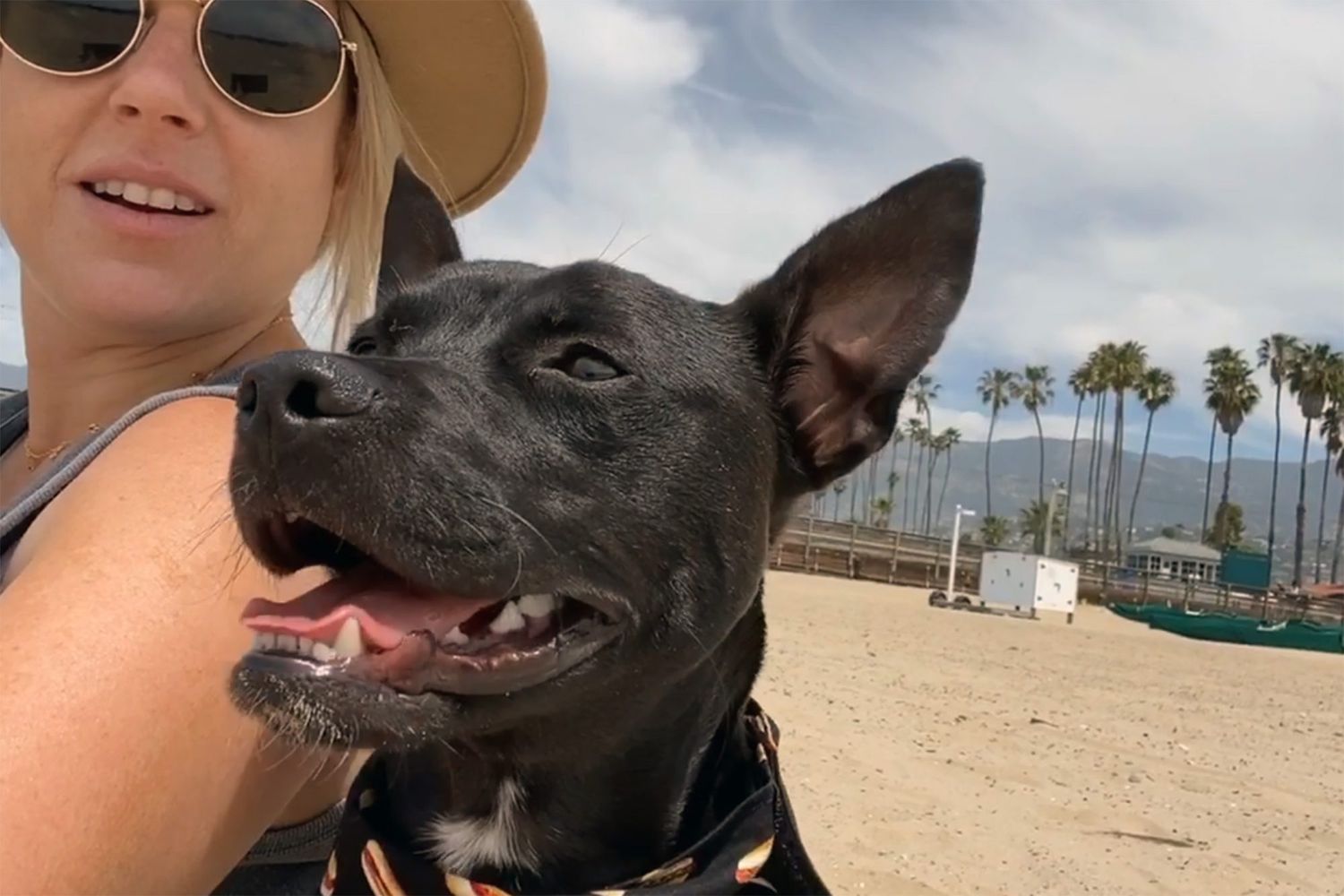 Black dog with pointy ears sits next to blonde woman on sandy beach