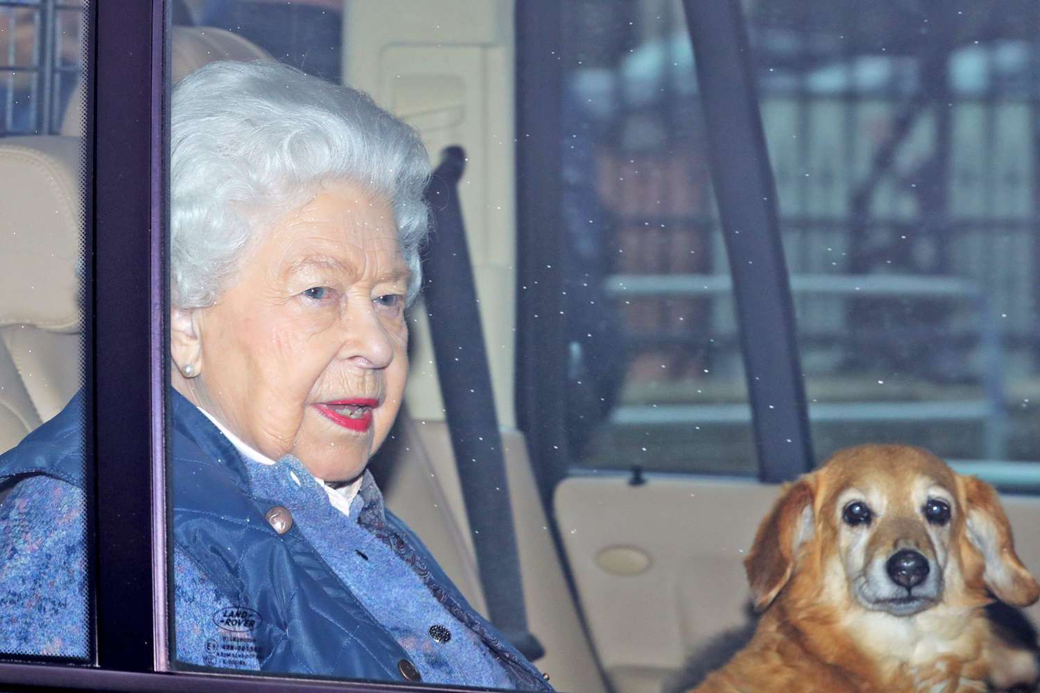 Elderly Queen Elizabeth sitting in car with dog on her lap