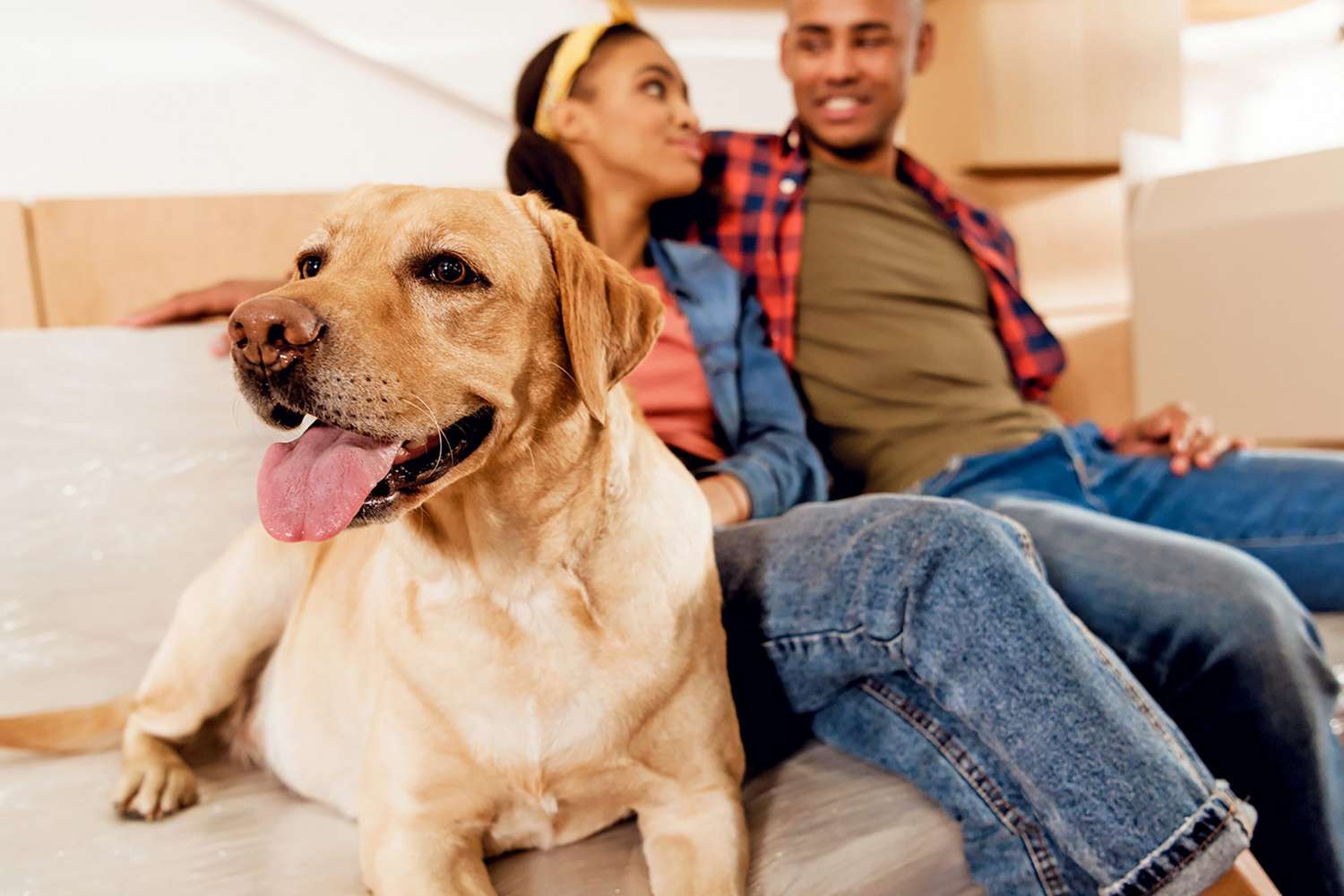 young Black couple with yellow labrador dog resting on sofa