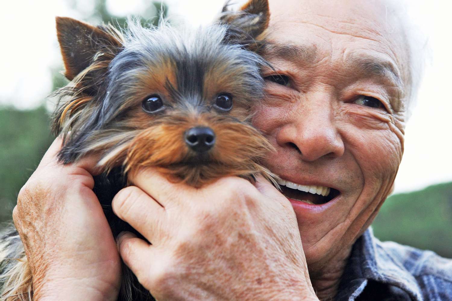 Senior Asian man holds small dog near face