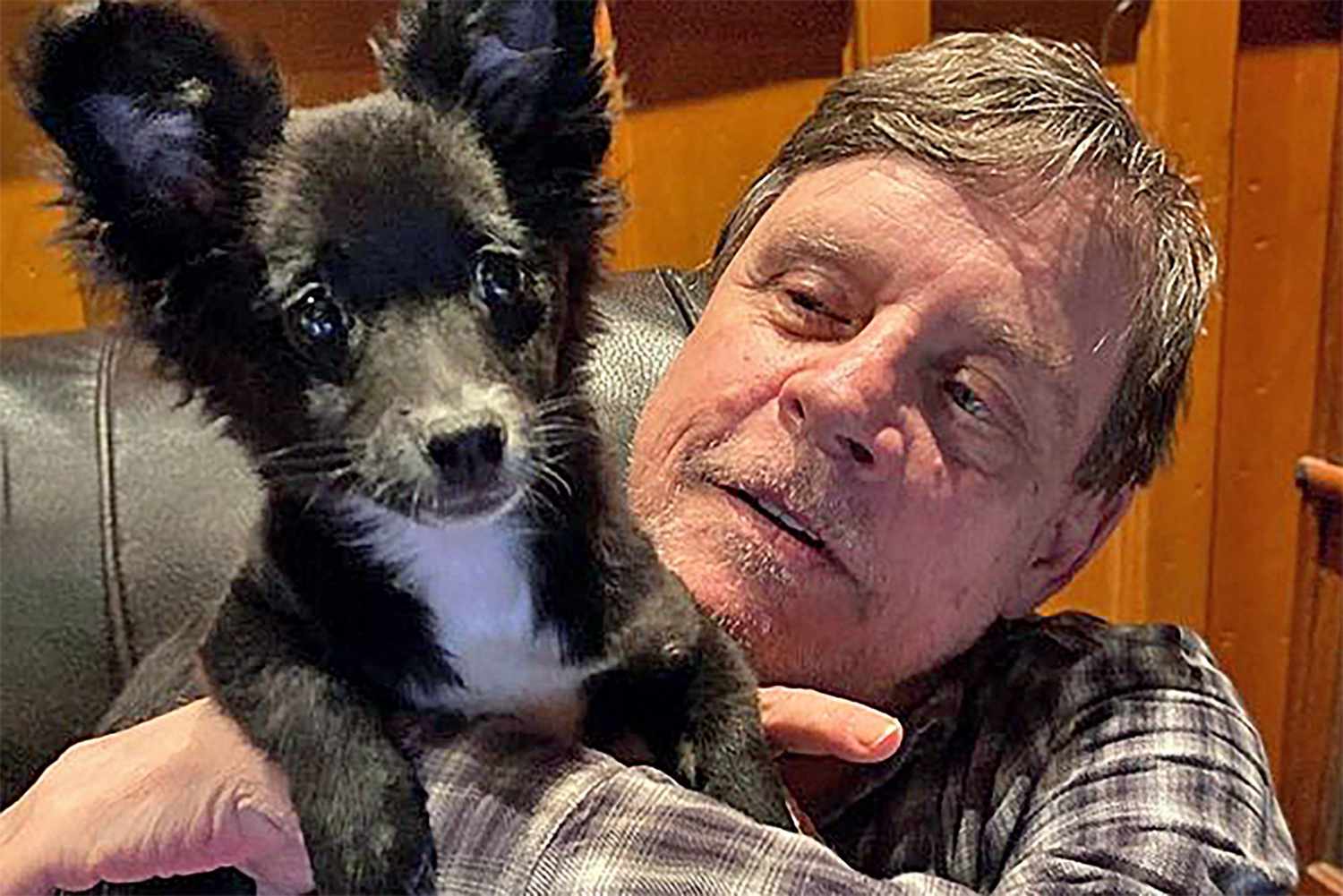 Mark Hamill holding his new black and white puppy
