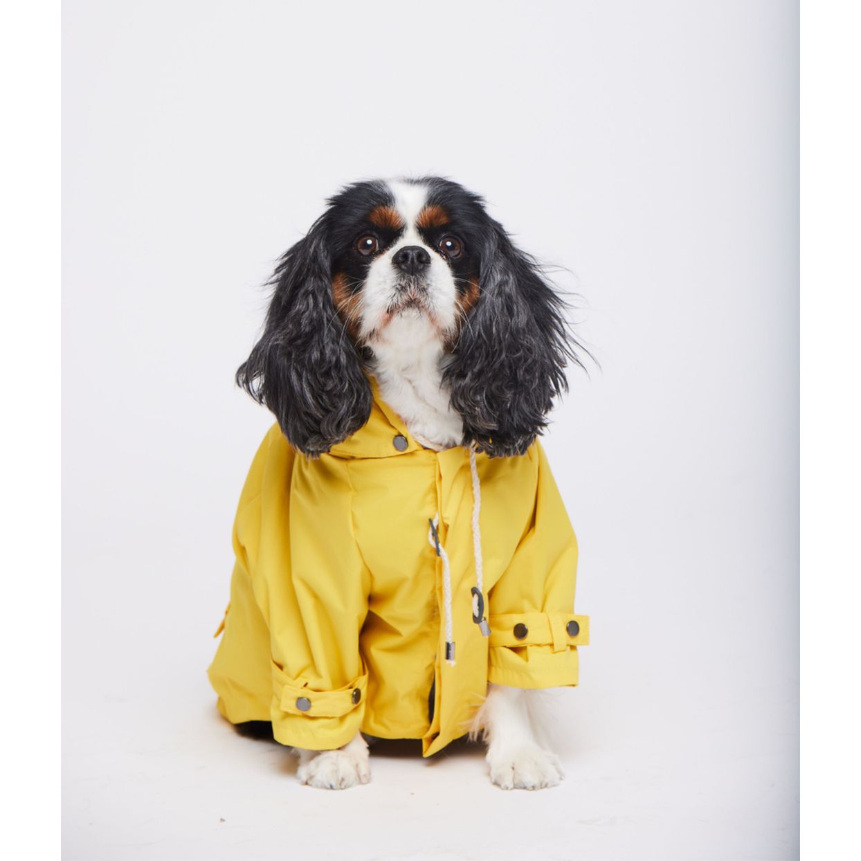 max bone dog rain coat