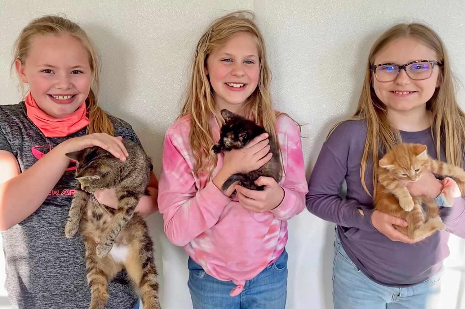 three girls each holding a cat
