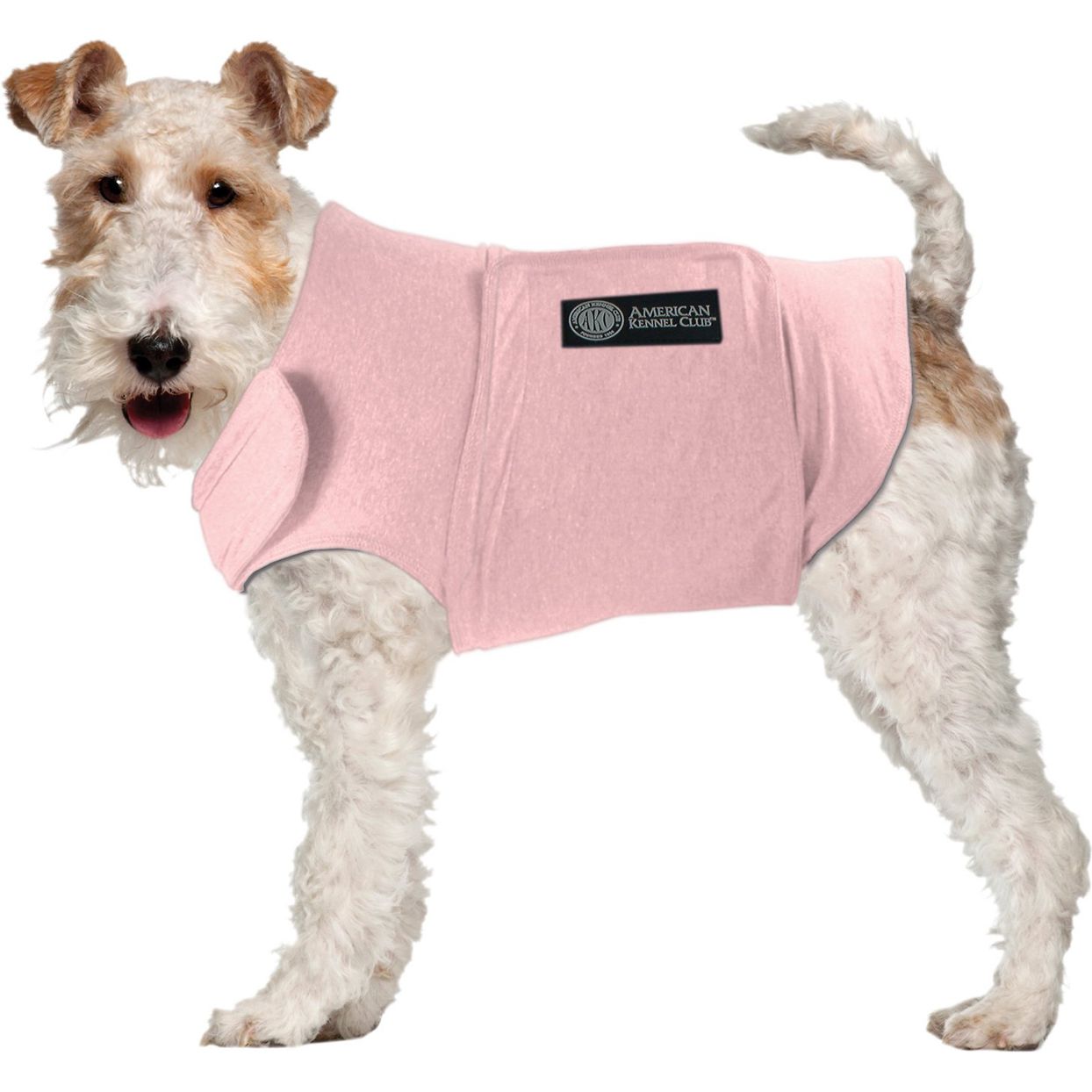 A Thunder Shirt for Dogs Could Help Summer Storm Anxiety—These Are Our Top  Picks | Daily Paws