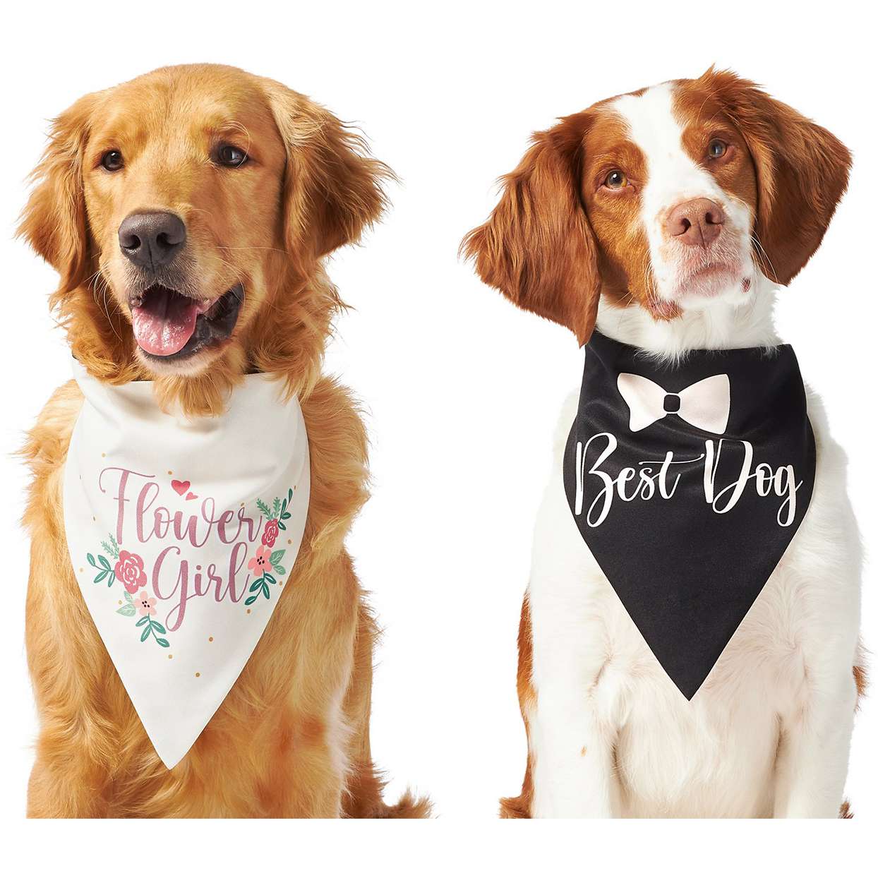 Frisco wedding reversible dog cat bandana