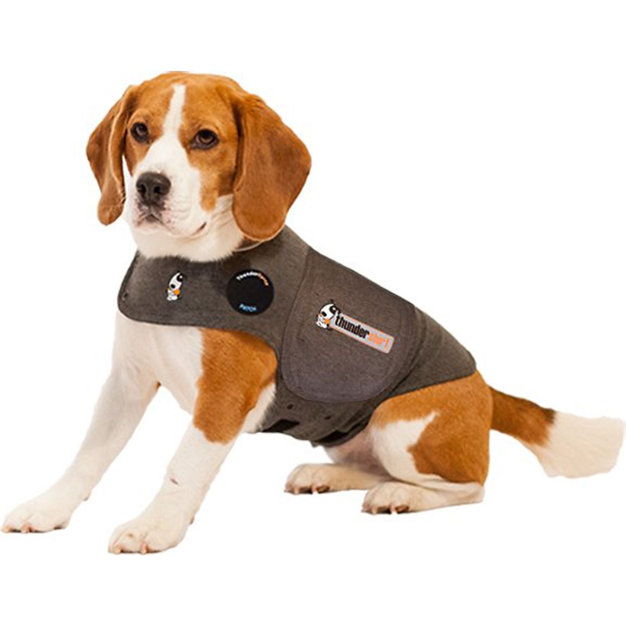 thundershirt vest for dogs