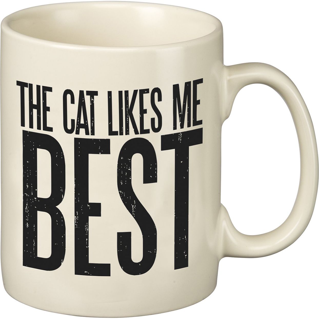 Cat likes me best mug