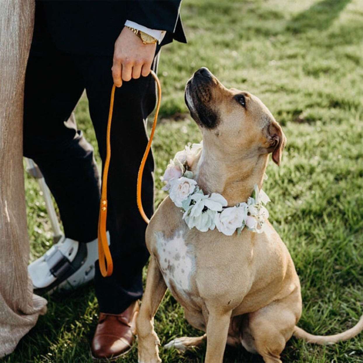 pet wedding custom floral collar