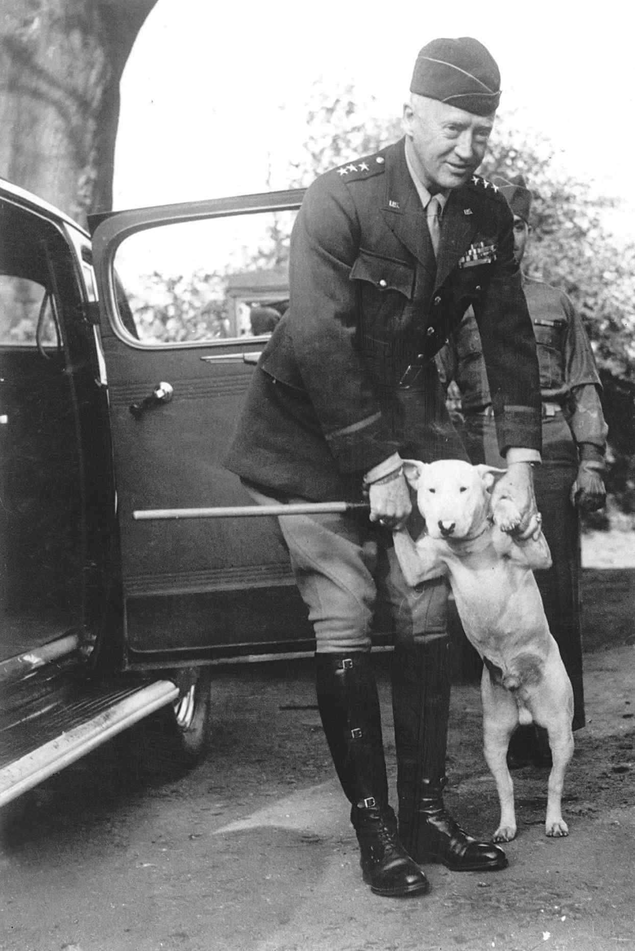 bull terrier with general patton