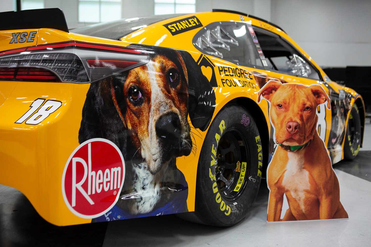 new NASCAR car design using dogs