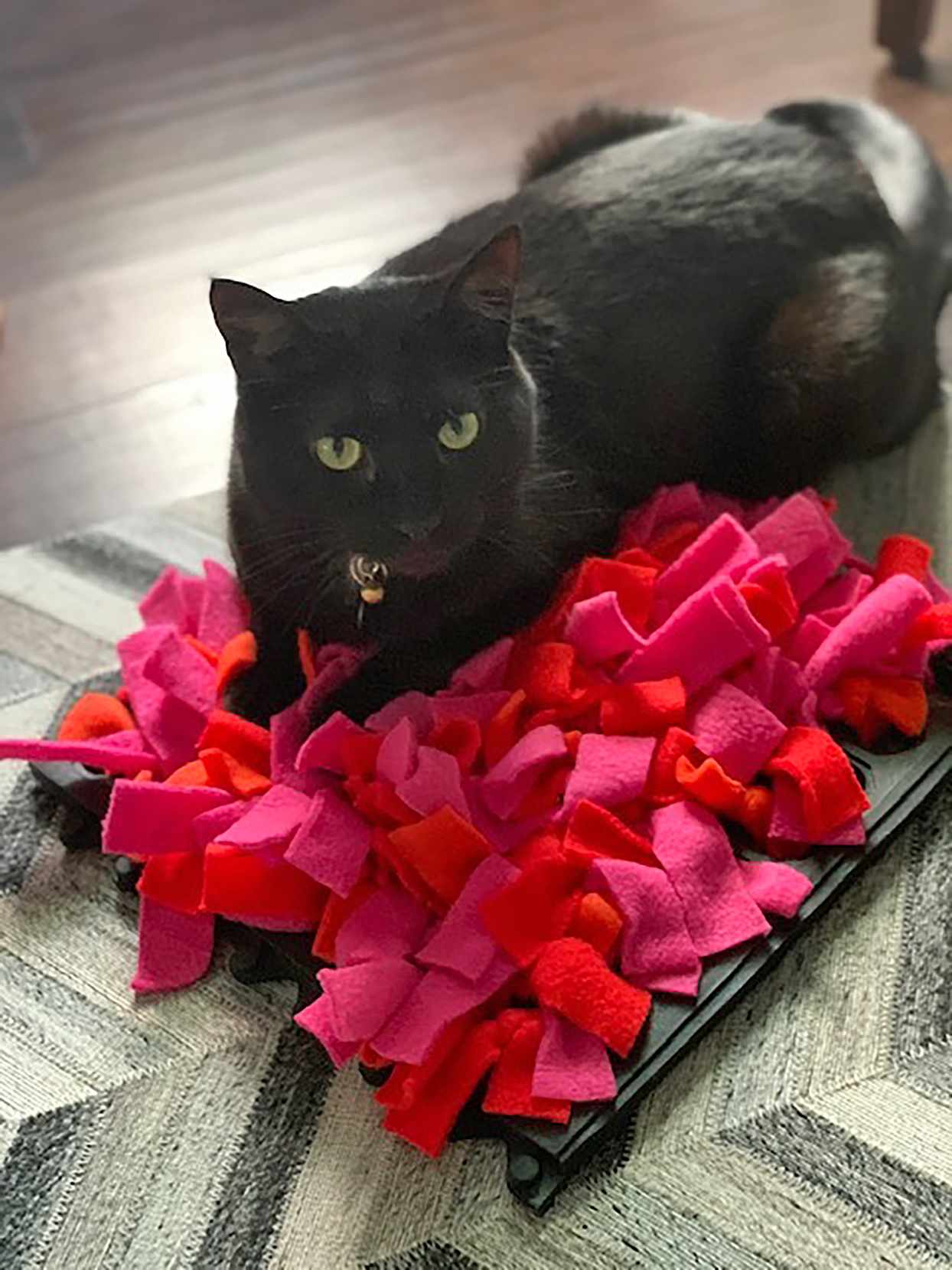 black cat on pink and orange snuffle mat