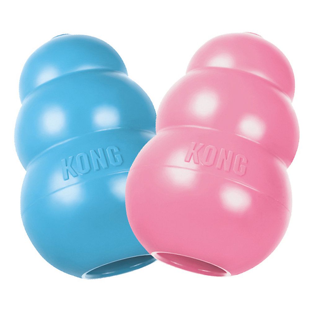 Light blue and pink Kong Puppy Toys on a white background
