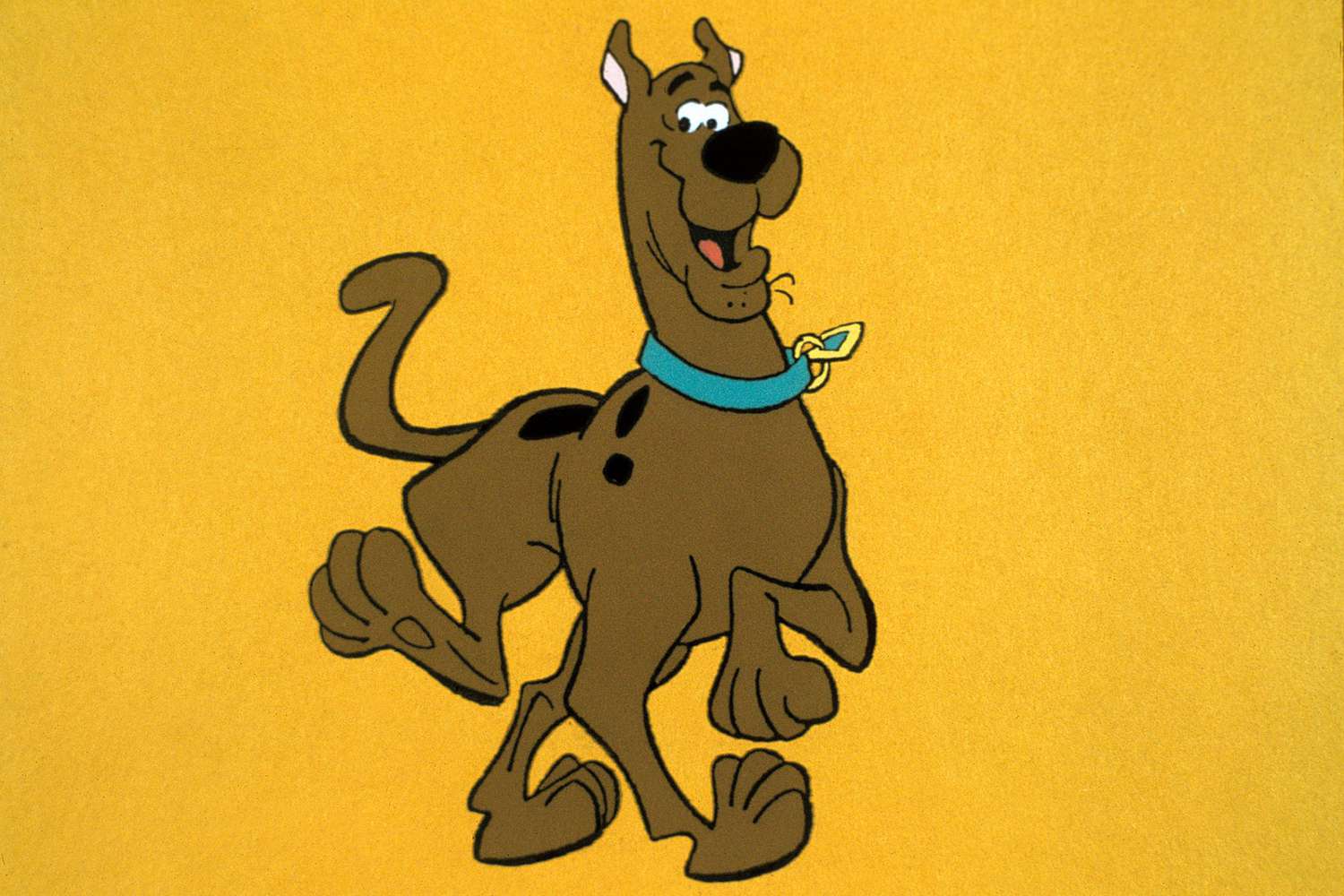 cartoon dog name scooby from scooby doo on a yellow background