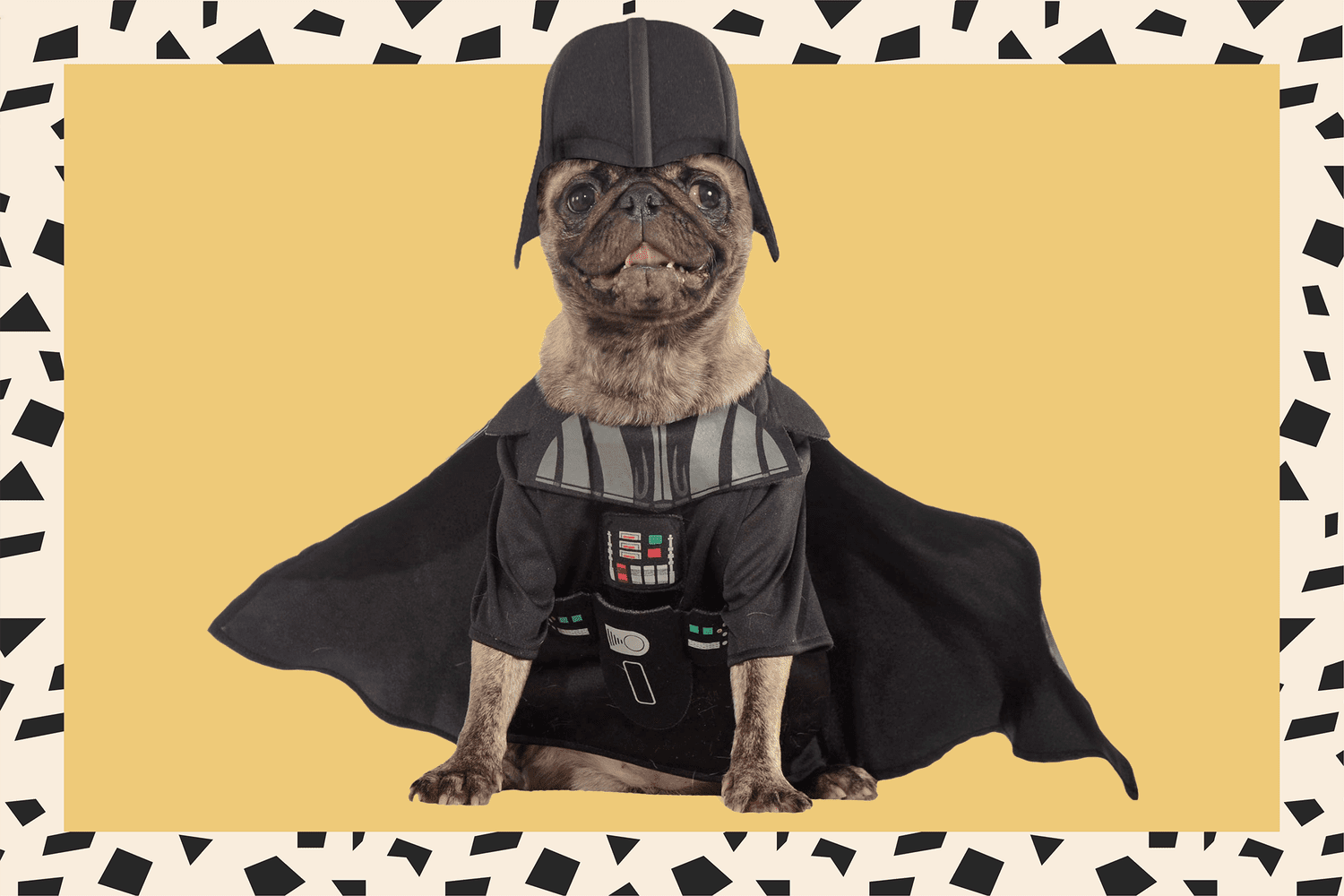 Star Wars Darth Vader dog costume