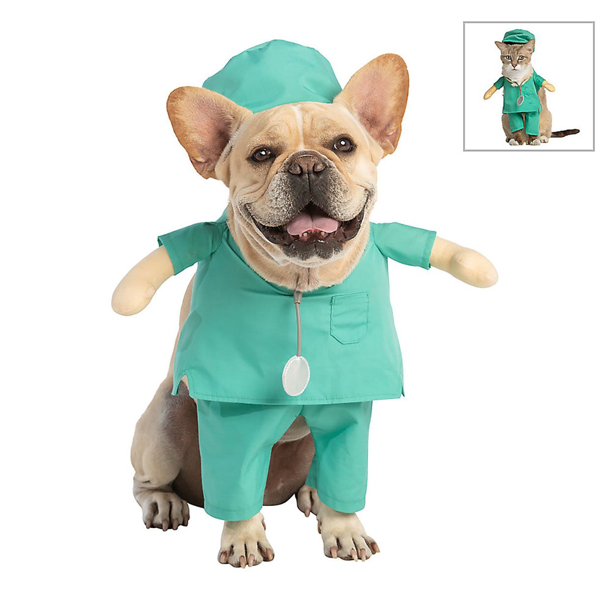 Teal green nurse scrubs dog costume on a French bulldog