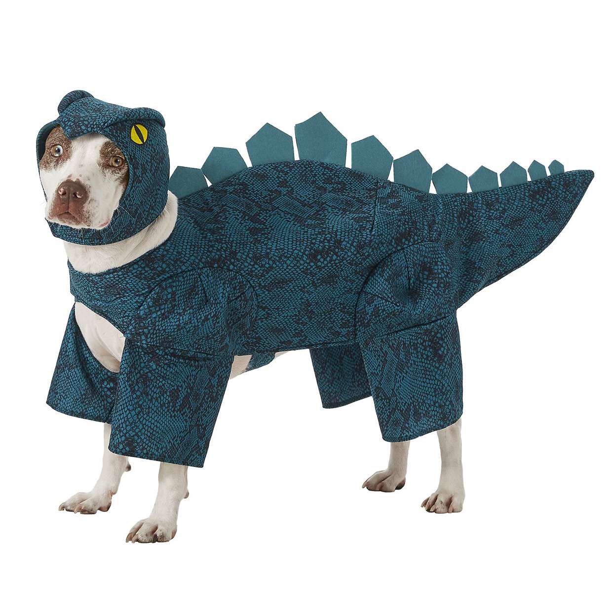 Dog wearing a Frisco Stegosaurus Dinosaur Dog & Cat Costume on a white background