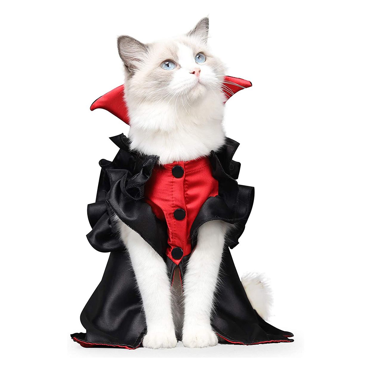 Cat wearing a LIANZIMUA Vampire Cat Halloween Costume on a white background