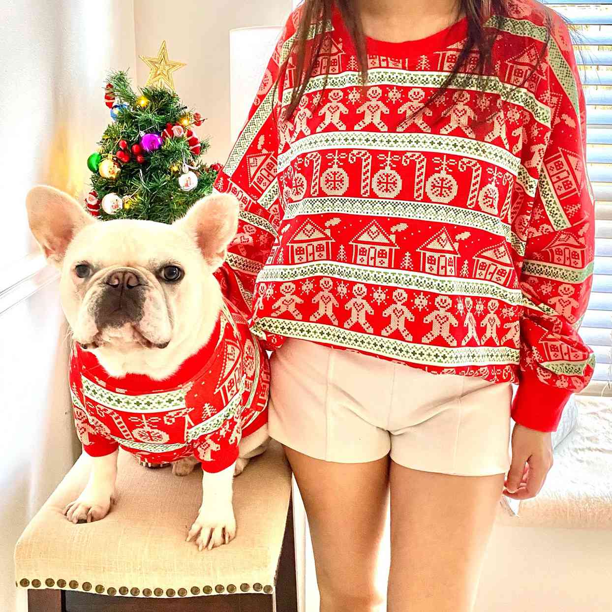 christmas matching ugly sweater for cats dogs and pet parents