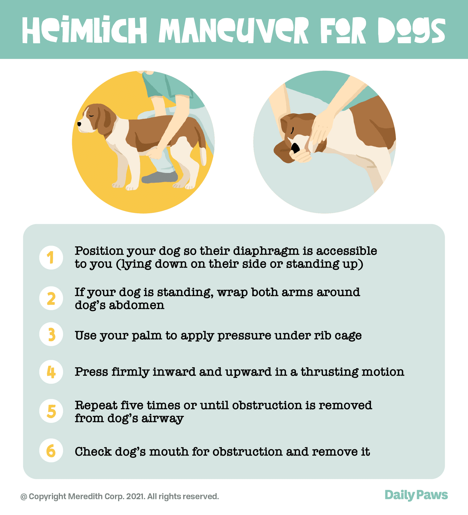 how to help a choking dog steps to perform heimlich manuever for dogs