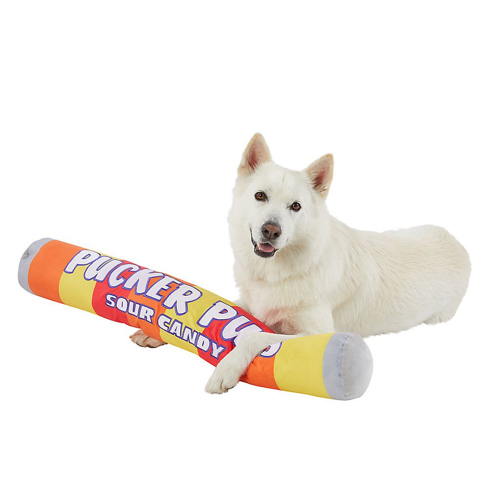 Dog holding a Thrills & Chills Halloween 2X-Large Pucker Pups Dog Toy on a white background