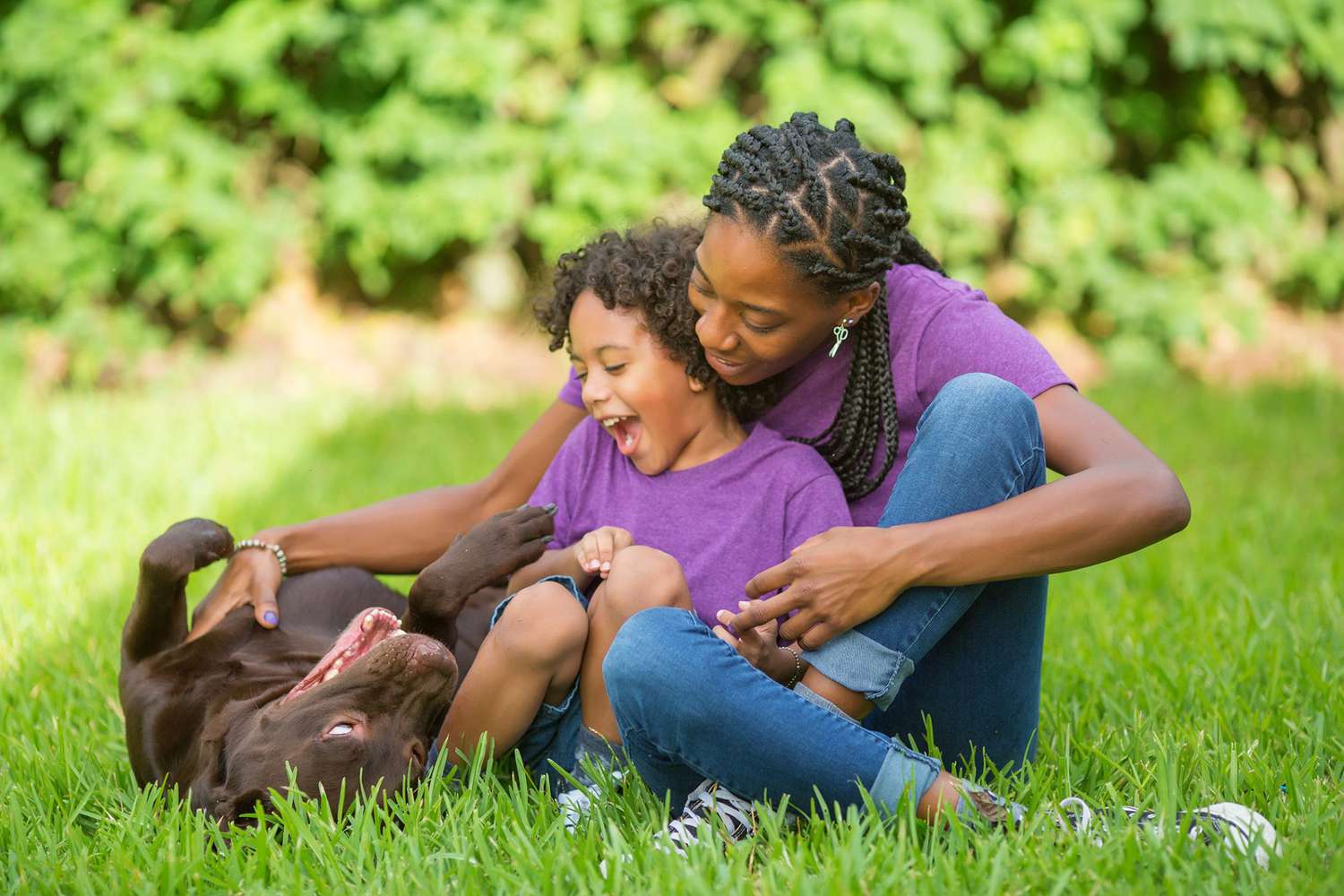 mother and child playing with their chocolate lab in the grass