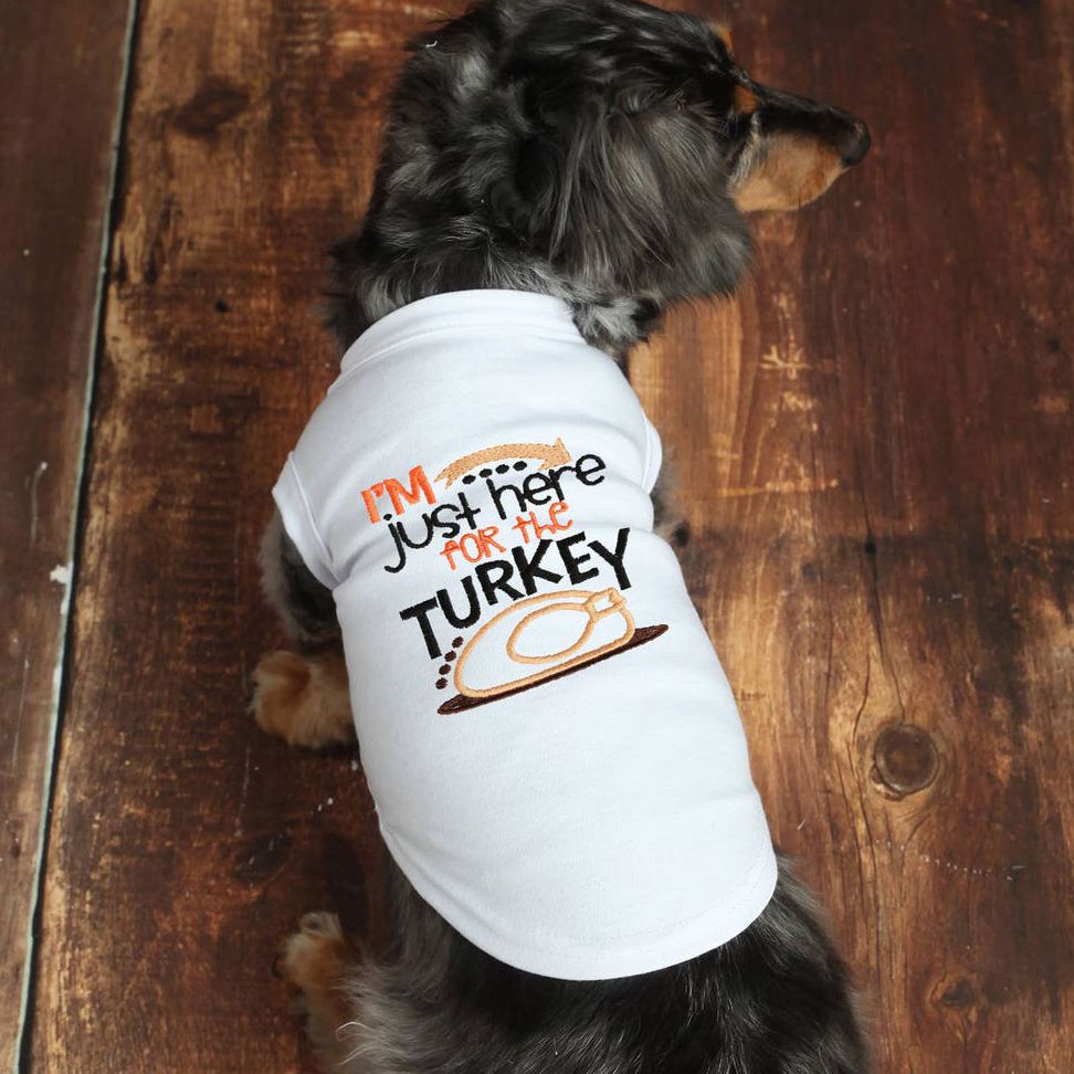 Thanksgiving Love Orange Cotton Top Brown Turkey Tutu Pet Dog Puppy Dress 