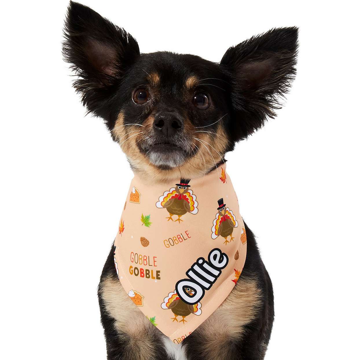 Dog wearing a Frisco Quirky Thanksgiving Personalized Dog & Cat Bandana on a white background