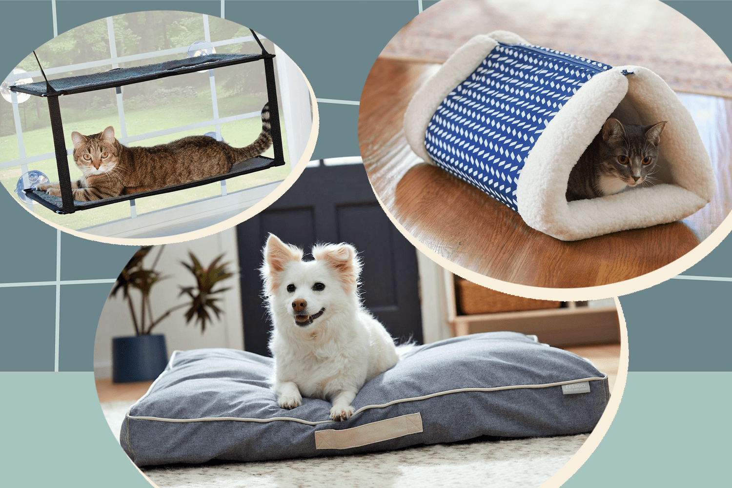 Catio, dog bed and cat cat preview of the cyber sale