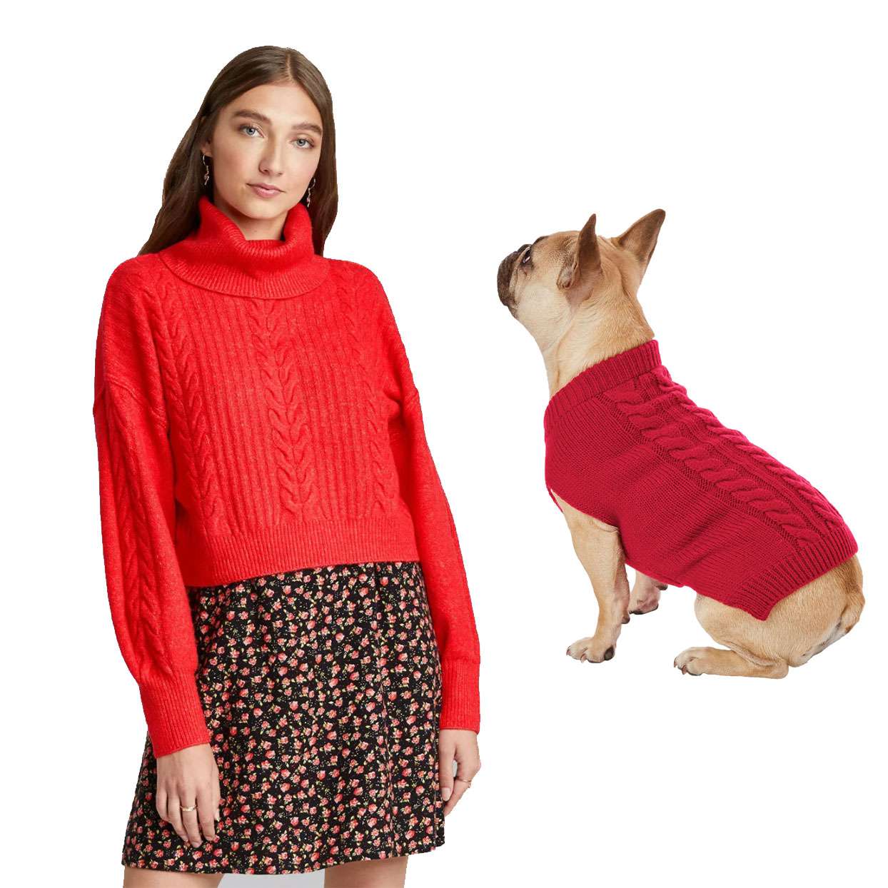 classic red cable knit matching dog and owner sweaters