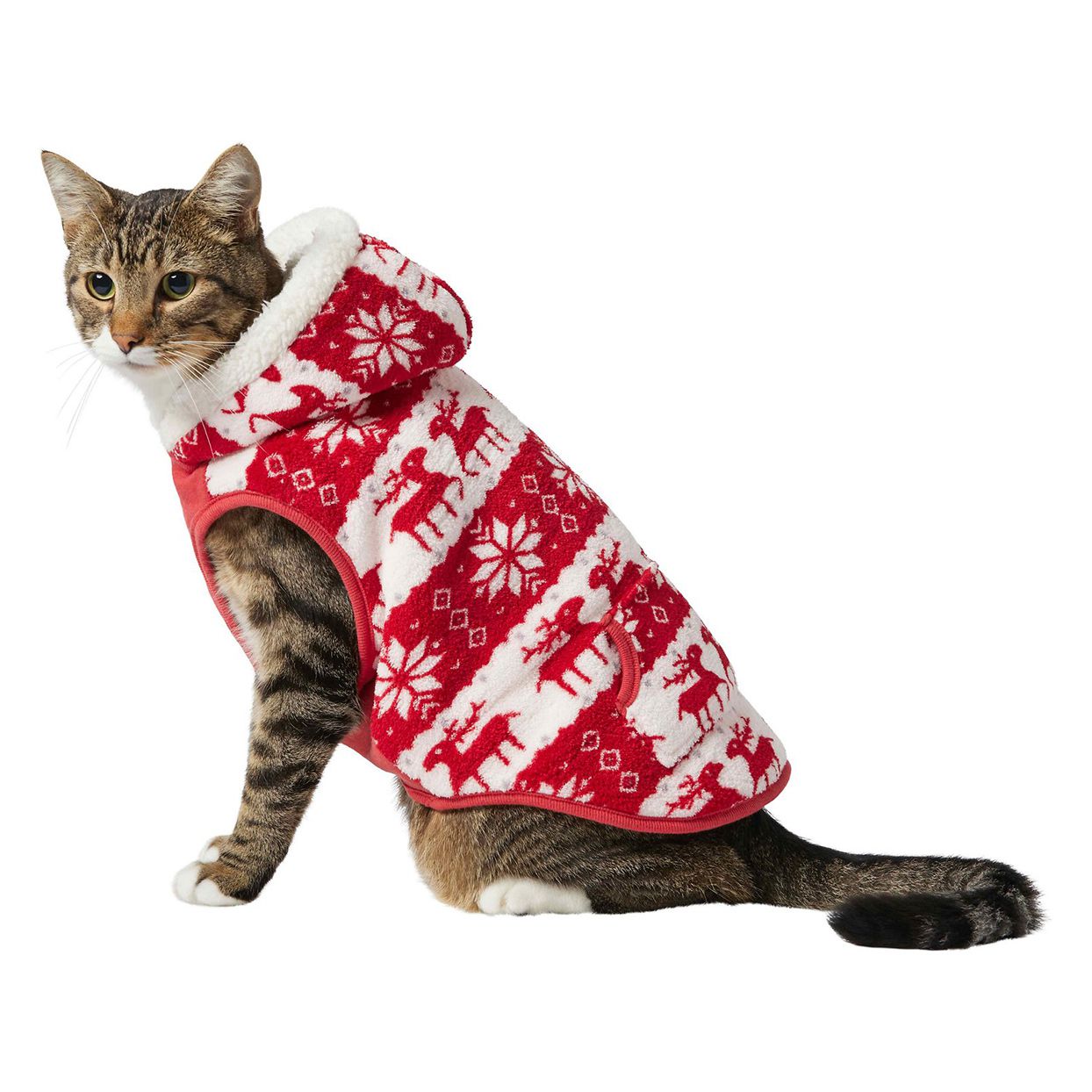 Cat wearing a Frisco Fair Isle Fleece Lined Dog & Cat Hoodie
