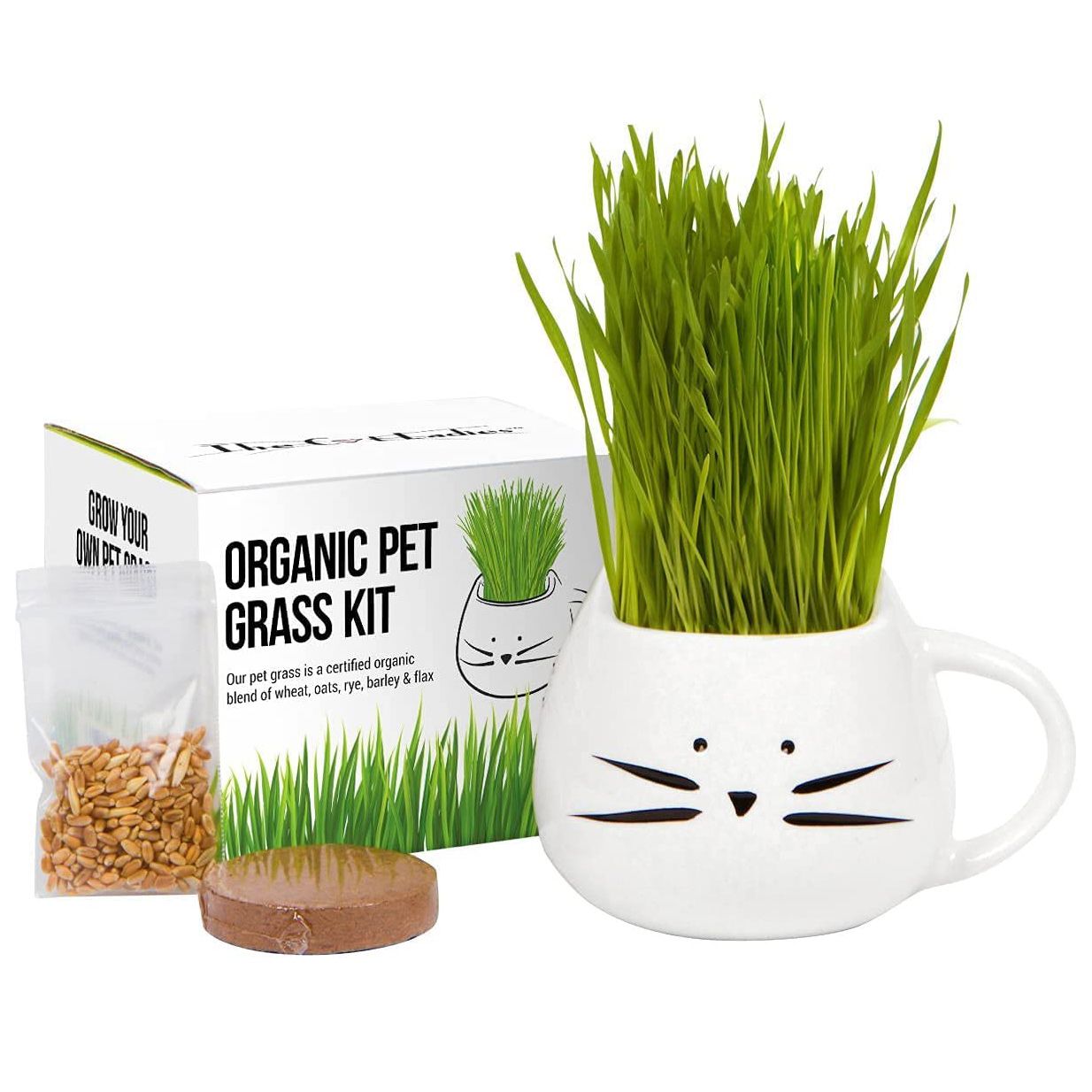Product photo of a Organic Cat Grass Growing Kit